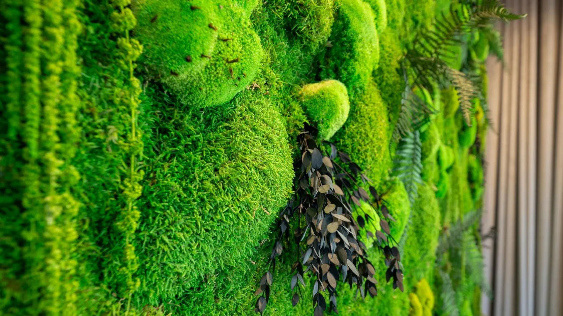 Somerset Schoenbrunn Vienna